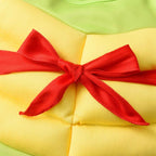 Teenage Mutant Ninja Turtles Costumes Muscle Set For Kids