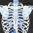 Halloween Skeleton Cosplay Costume Bodycon Jumpsuit for Women - Azufun