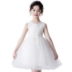 Children's Mesh Summer Dress Princess Dress Girls Performance Costume Flower Tutu Dress