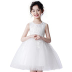 Children's Mesh Summer Dress Princess Dress Girls Performance Costume Flower Tutu Dress