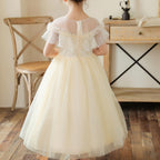 Girls Mesh Wedding Long Princess Dress Performance Costume Dresses